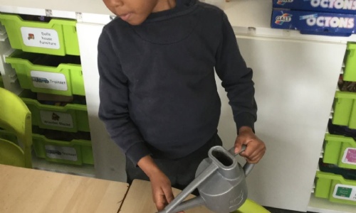 News » Inspired by Jack and the Beanstalk